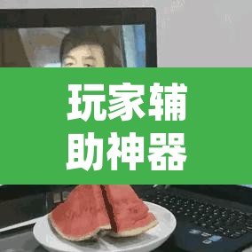 玩家辅助神器“哥哥打大a辅助工具	”(透视)其实确实有挂