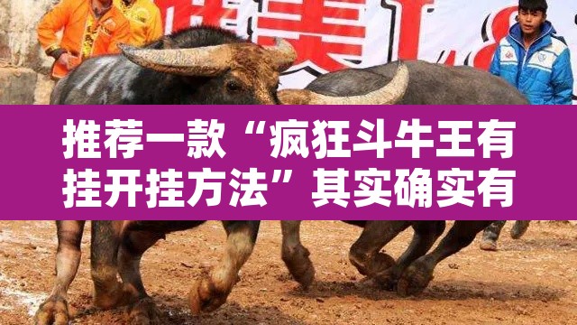 推荐一款“疯狂斗牛王有挂开挂方法”其实确实有挂
