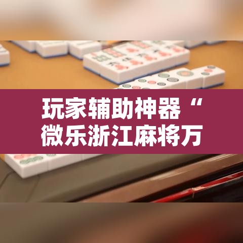 玩家辅助神器“微乐浙江麻将万能开挂器免费”开挂辅助脚本+详细开挂安装教程