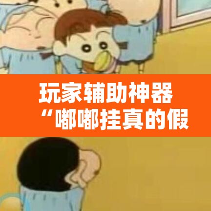 玩家辅助神器“嘟嘟挂真的假的”开挂辅助脚本+详细开挂安装教程