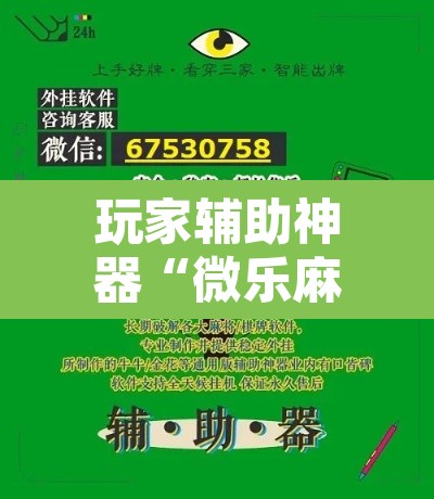 玩家辅助神器“微乐麻将万能开挂器通用”其实确实有挂