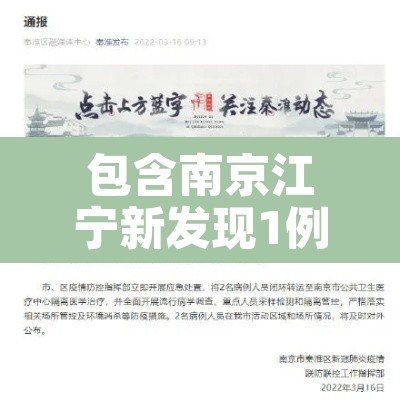 包含南京江宁新发现1例阳性的词条