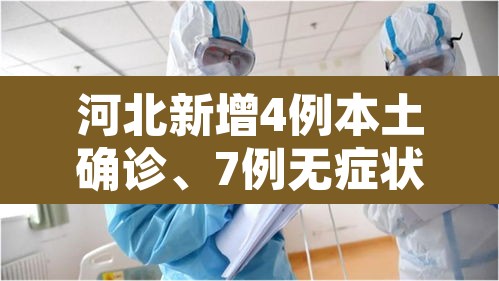 河北新增4例本土确诊、7例无症状›河北新增4例本土确诊病例