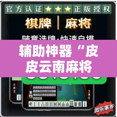 辅助神器“皮皮云南麻将通用挂”其实确实有挂