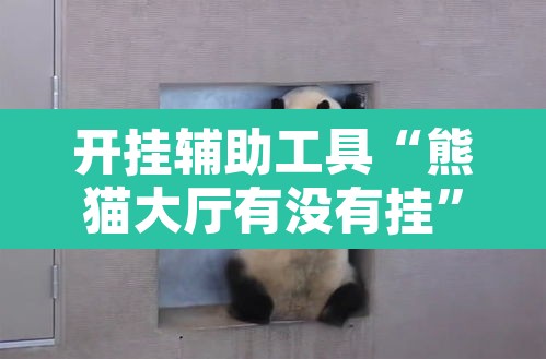 开挂辅助工具“熊猫大厅有没有挂”其实确实有挂
