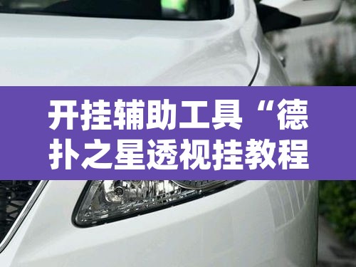 开挂辅助工具“德扑之星透视挂教程”(透视)其实确实有挂