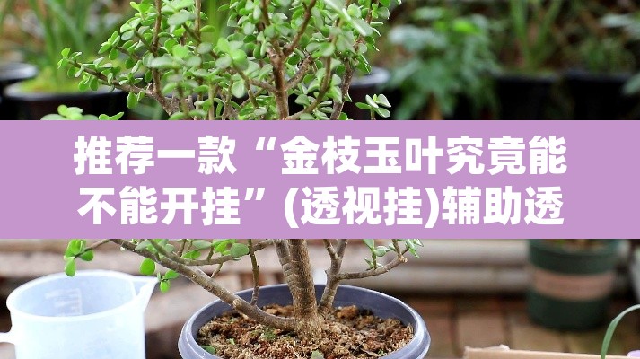 推荐一款“金枝玉叶究竟能不能开挂	”(透视挂)辅助透视教程