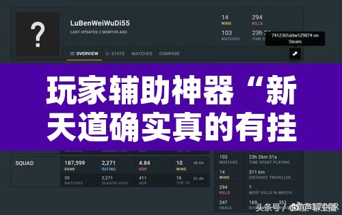 玩家辅助神器“新天道确实真的有挂	”开挂辅助脚本+详细开挂安装教程