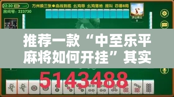 推荐一款“中至乐平麻将如何开挂”其实确实有挂