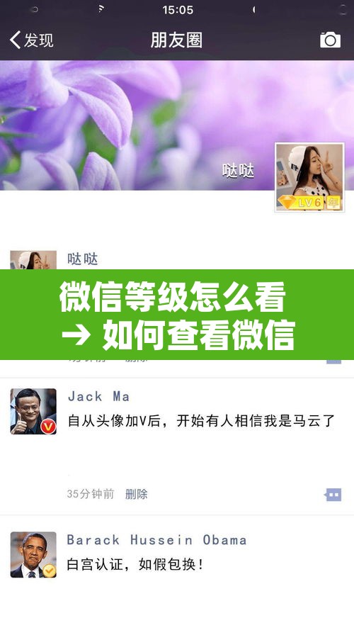 微信等级怎么看 → 如何查看微信等级