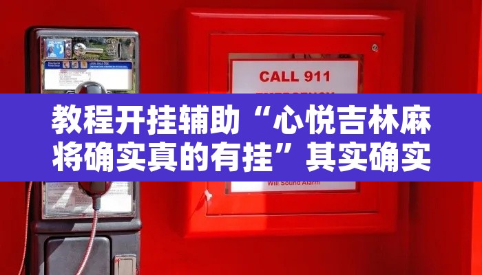 教程开挂辅助“心悦吉林麻将确实真的有挂”其实确实有挂