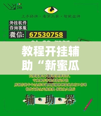 教程开挂辅助“新蜜瓜大厅怎么开挂”(透视)其实确实有挂