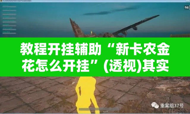 教程开挂辅助“新卡农金花怎么开挂	”(透视)其实确实有挂