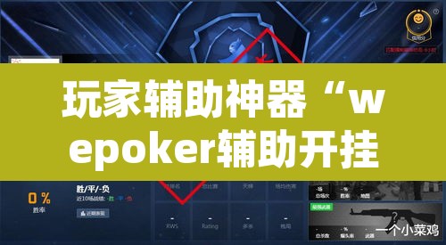 玩家辅助神器“wepoker辅助开挂”(透视挂)辅助透视教程