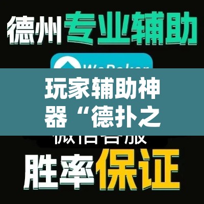 玩家辅助神器“德扑之星作弊透视挂”(透视挂)辅助透视教程