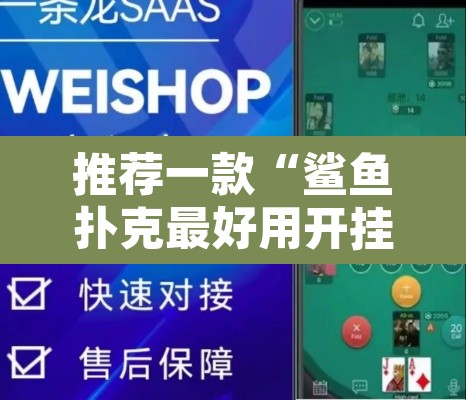 推荐一款“鲨鱼扑克最好用开挂	”开挂辅助脚本+详细开挂安装教程