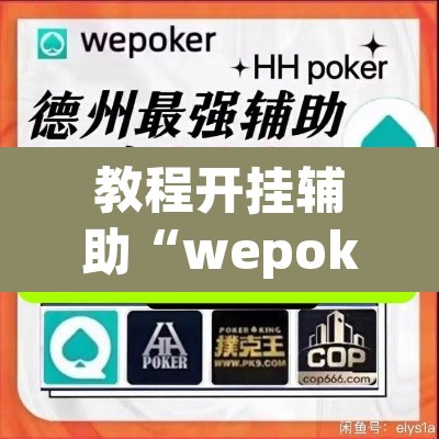 教程开挂辅助“wepoker透视挂被骗经历”开挂辅助脚本+详细开挂安装教程