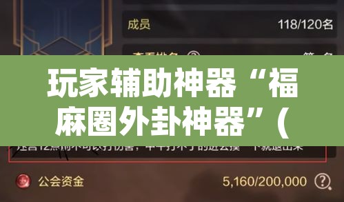 玩家辅助神器“福麻圈外卦神器	”(透视)其实确实有挂