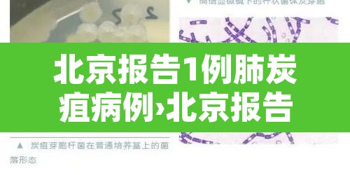 北京报告1例肺炭疽病例›北京报告1例肺炭疽病例活动轨迹