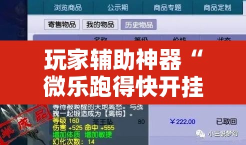 玩家辅助神器“微乐跑得快开挂下载安装微信”开挂辅助脚本+详细开挂安装教程