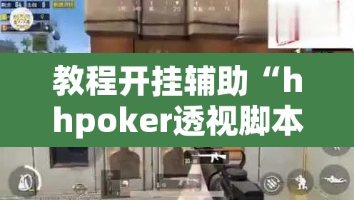教程开挂辅助“hhpoker透视脚本	”(透视)其实确实有挂