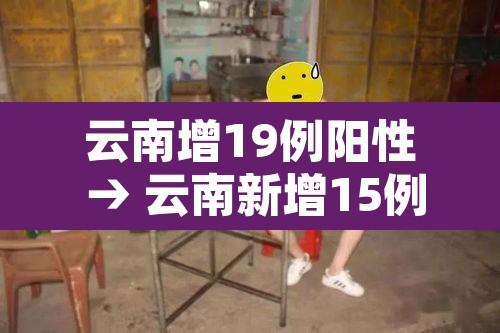 云南增19例阳性 → 云南新增15例本土确