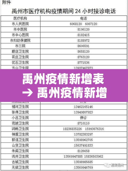 禹州疫情新增表 → 禹州疫情新增表格图