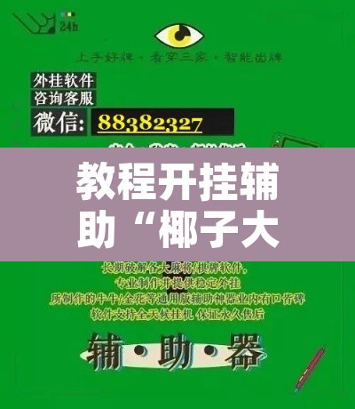 教程开挂辅助“椰子大厅透视	”附辅助神器开挂脚本详细步骤