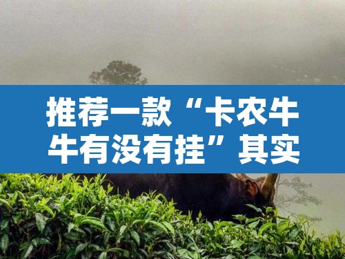 推荐一款“卡农牛牛有没有挂	”其实确实有挂