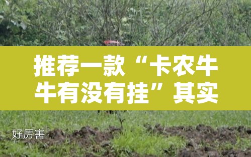 推荐一款“卡农牛牛有没有挂	”其实确实有挂