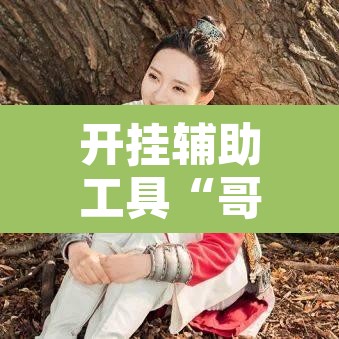 开挂辅助工具“哥哥打大a怎么开挂”开挂辅助脚本+详细开挂安装教程