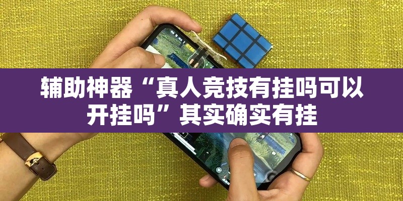 辅助神器“真人竞技有挂吗可以开挂吗”其实确实有挂
