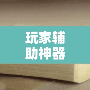 玩家辅助神器“泰兴麻将开挂辅助神器”开挂辅助脚本+详细开挂安装教程
