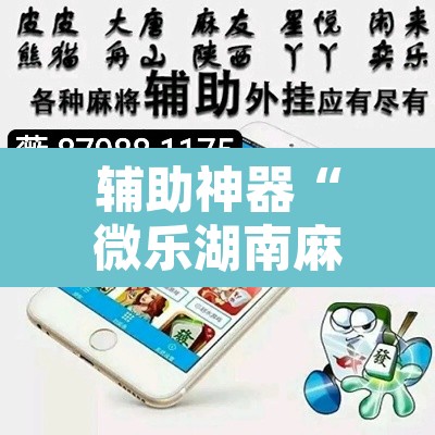 辅助神器“微乐湖南麻将可以开挂吗	”其实确实有挂