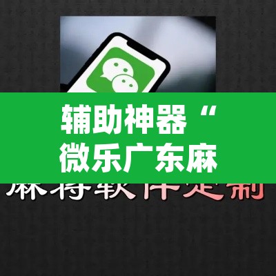 辅助神器“微乐广东麻将万能开挂器”(透视)其实确实有挂