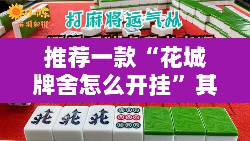 推荐一款“花城牌舍怎么开挂”其实确实有挂