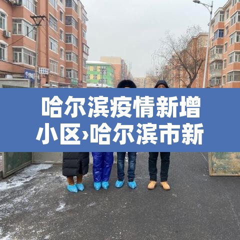 哈尔滨疫情新增小区›哈尔滨市新增