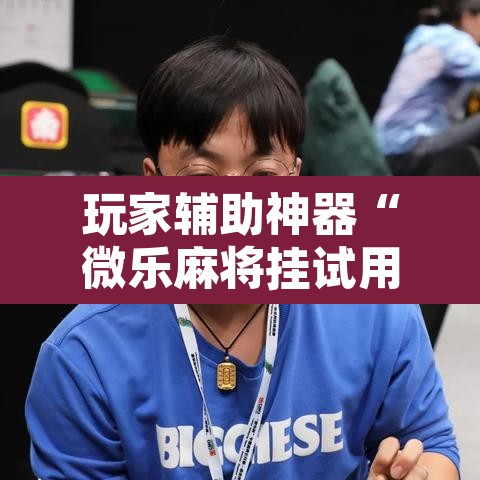 玩家辅助神器“微乐麻将挂试用一天”其实确实有挂