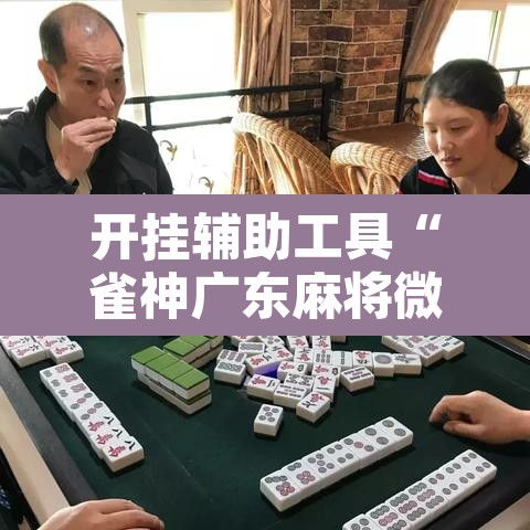 开挂辅助工具“雀神广东麻将微信挂”附辅助神器开挂脚本详细步骤