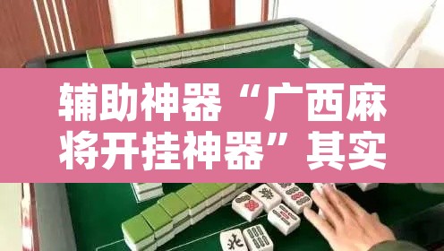 辅助神器“广西麻将开挂神器”其实确实有挂