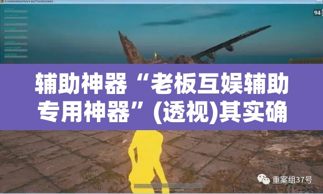 辅助神器“老板互娱辅助专用神器”(透视)其实确实有挂