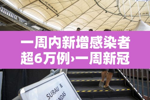 一周内新增感染者超6万例›一周新冠肺炎最新消息