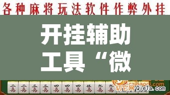 开挂辅助工具“微乐麻将挂先试用后付款	”(透视)其实确实有挂
