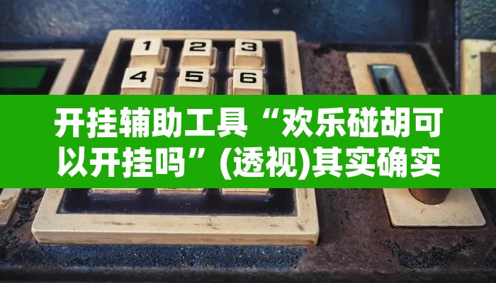开挂辅助工具“欢乐碰胡可以开挂吗”(透视)其实确实有挂