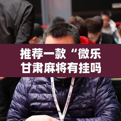 玩家辅助神器“小程序微乐陕西麻将免费开挂神器”(透视)其实确实有挂