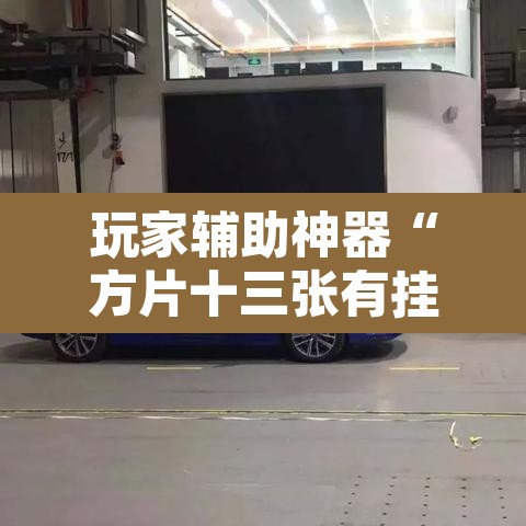 玩家辅助神器“方片十三张有挂吗”其实确实有挂