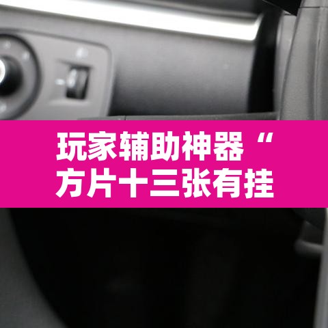 玩家辅助神器“方片十三张有挂吗”其实确实有挂
