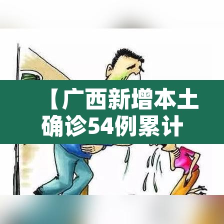 【广西新增本土确诊54例累计180例·广西新增1例情况介绍】 【广西新增本土确诊54例累计180例·广西新增1例情况介绍】