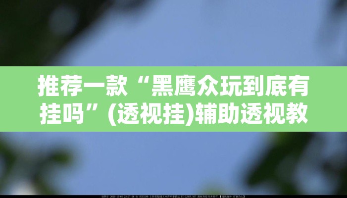 推荐一款“黑鹰众玩到底有挂吗	”(透视挂)辅助透视教程