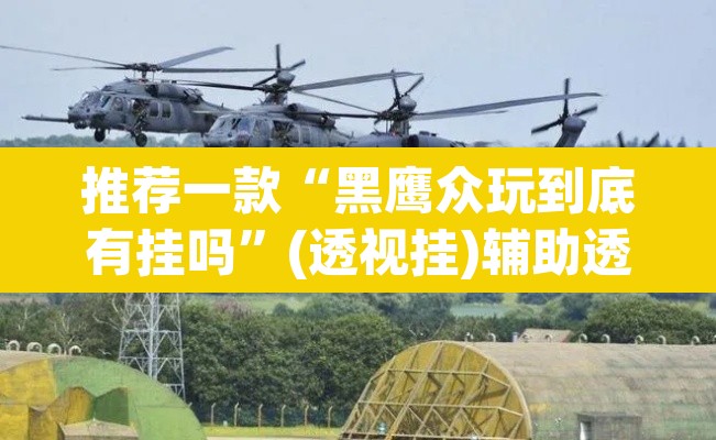 推荐一款“黑鹰众玩到底有挂吗”(透视挂)辅助透视教程